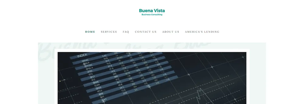 Buena Vista Business Consulting cover