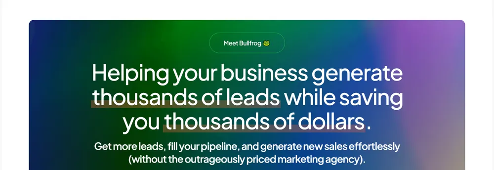 Bullfrog Digital Marketing Agency & SEO Company cover