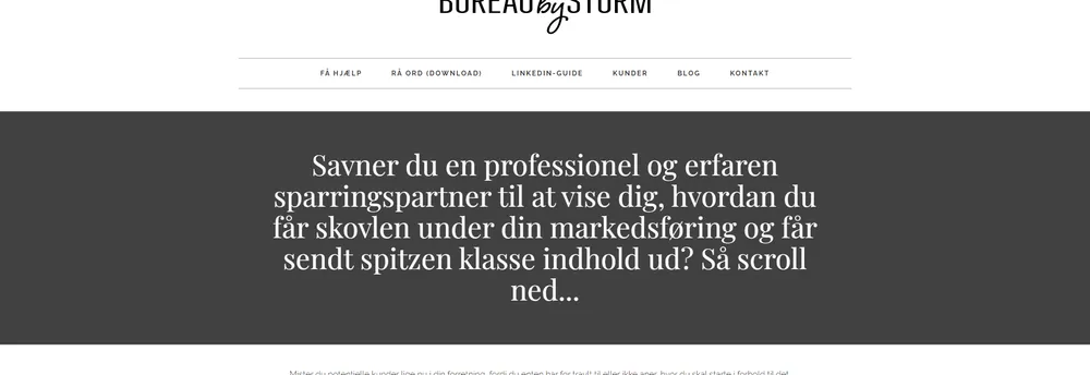 Bureau by Storm cover
