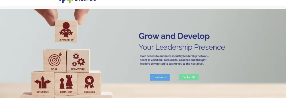 Business Coaching On Demand cover