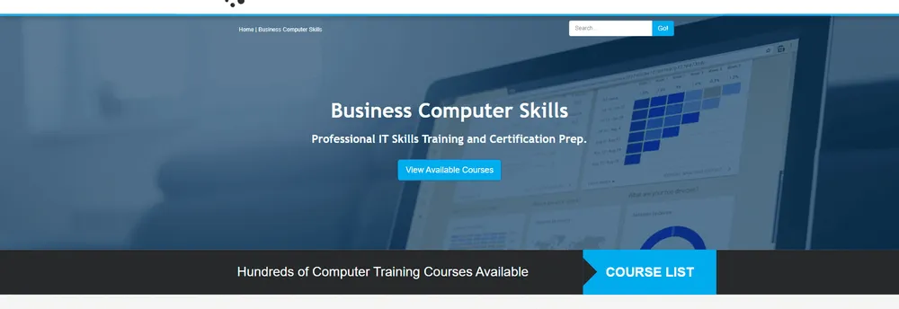 Business Computer Skills cover