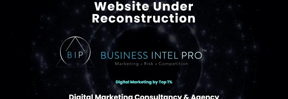 Business Intel Pro™ cover