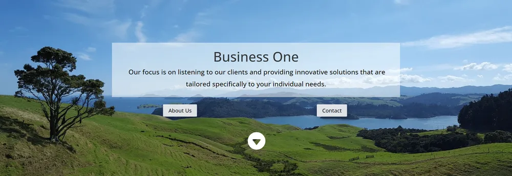 Business One cover