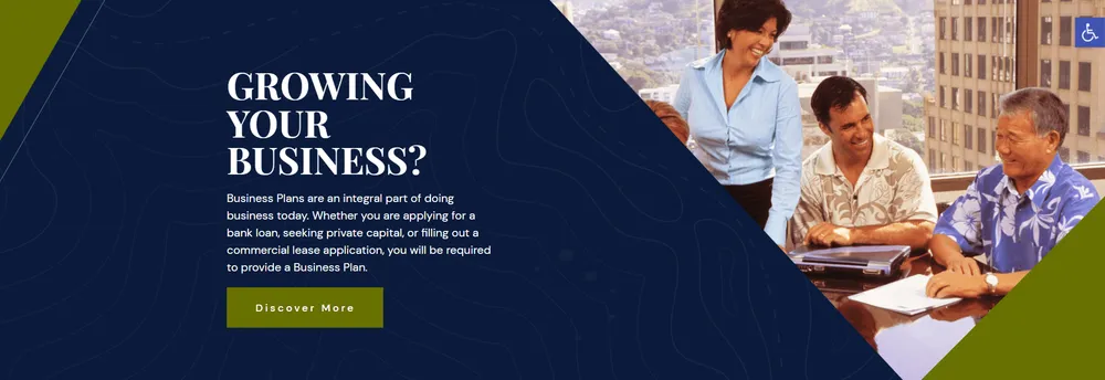 Business Plans Hawaii cover
