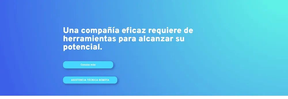 Business Software Solutions cover