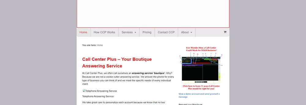 Call Center Plus cover