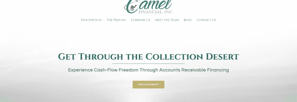 Camel Financial cover