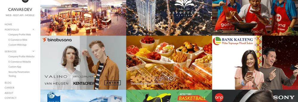 Canvas Web Design cover