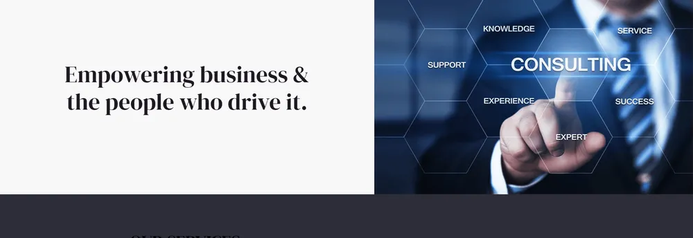 Career Ladder Consulting Services cover