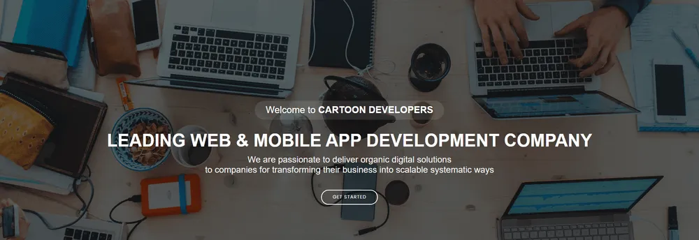Cartoon Developers cover