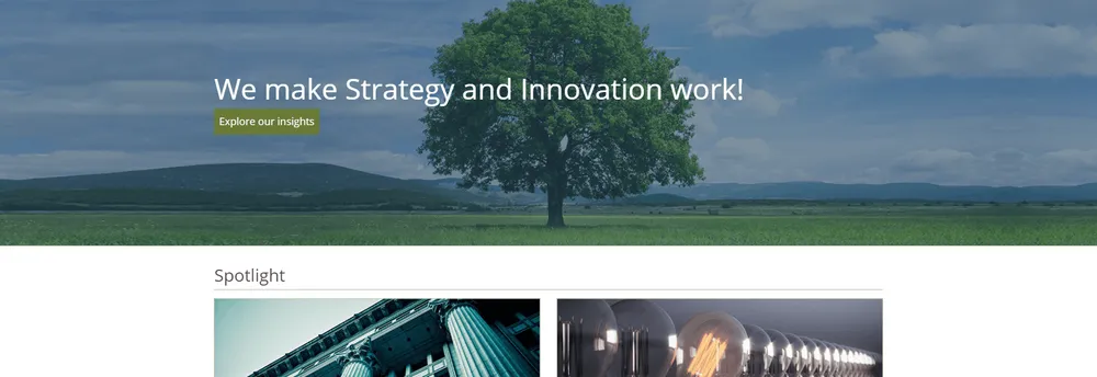 Cedar Management Consulting International cover
