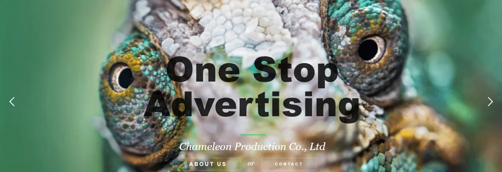 Chameleon Production cover