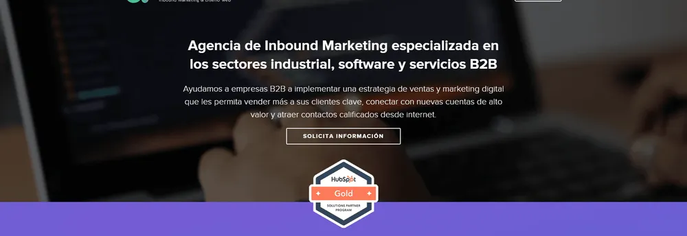 Consultores Web cover