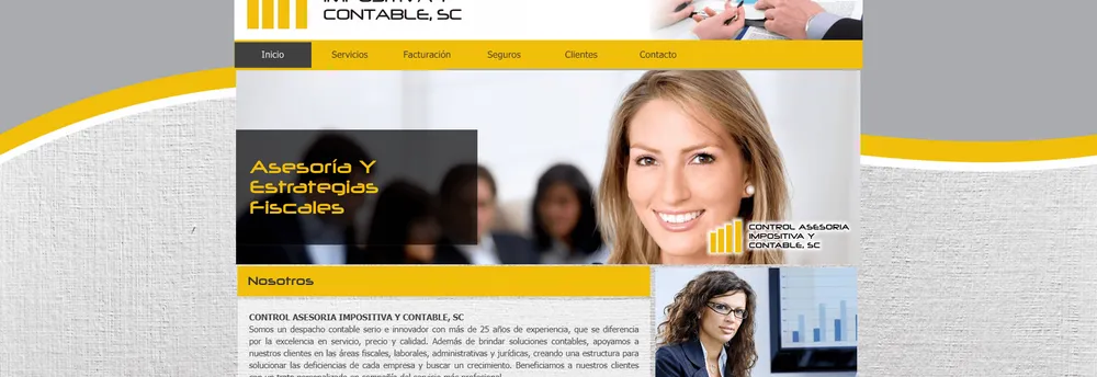 Control y asesoria Impositiva y contable, SC cover