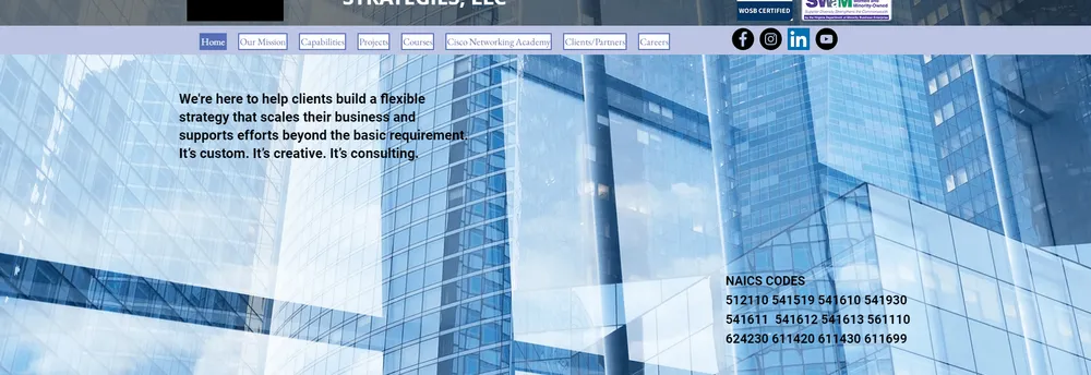 Corrin & King Business Strategies, LLC cover