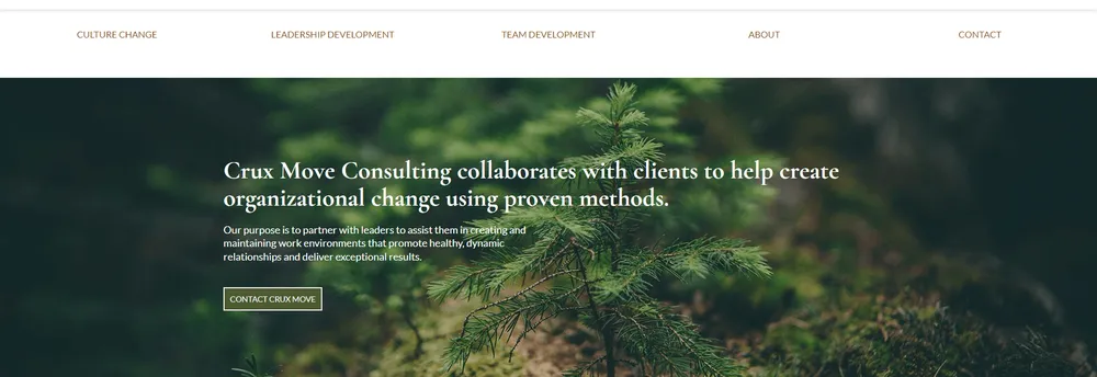 Crux Move Consulting cover