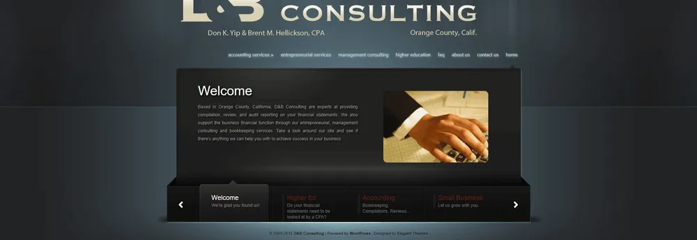 D&B Consulting cover