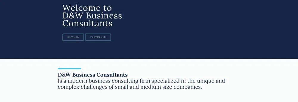D&W Business Consultants cover