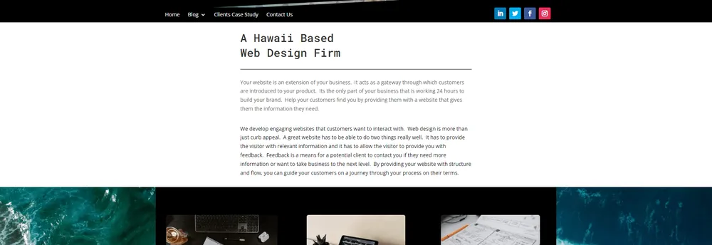 Da Hawaii Website Guy cover