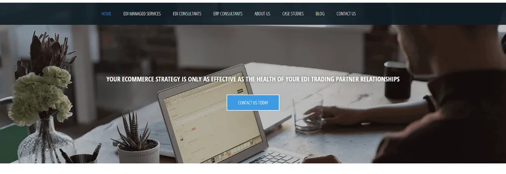 Data Integration Specialists, LLC cover