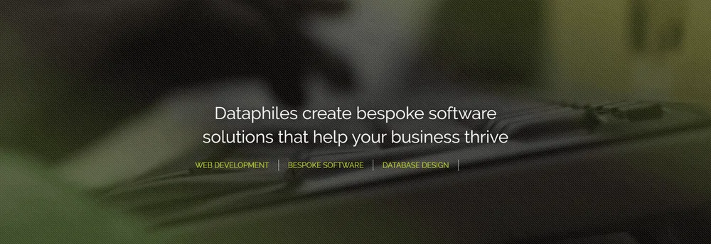 Dataphiles Ltd cover