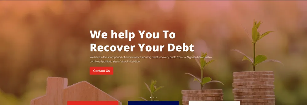 Debt Force Ltd cover