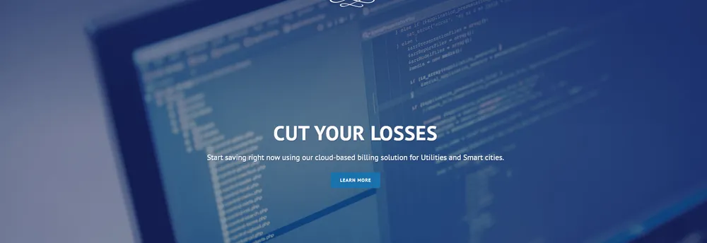 Delaware Software cover