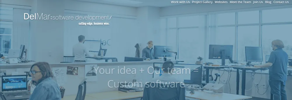 DelMar Software Development cover