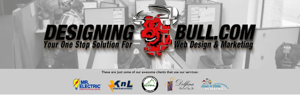 Designing Bull LLC cover
