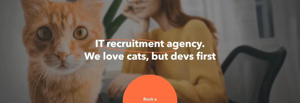 devs&cats cover