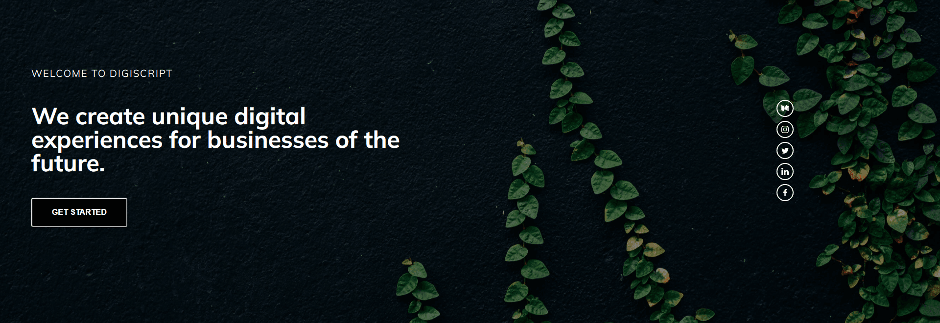 banner image