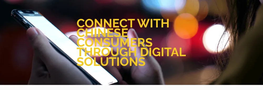 Digital China Group cover