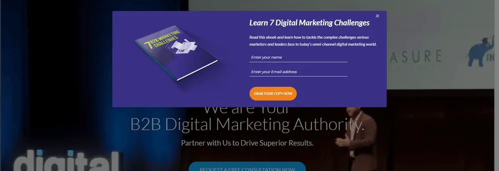 Digital Sparx Marketing cover