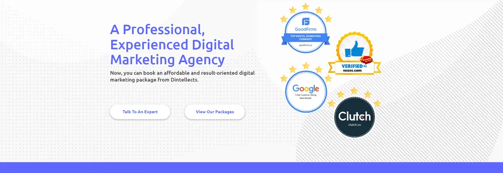 Dintellects Solutions Private Limited cover