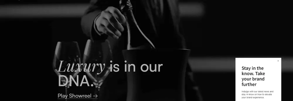 DLG (Digital Luxury Group) cover