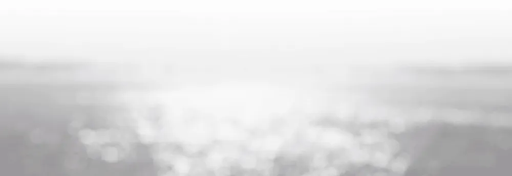 Dreamers VC cover