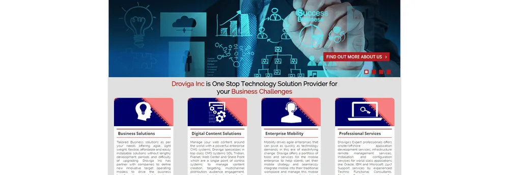 Droviga Inc cover