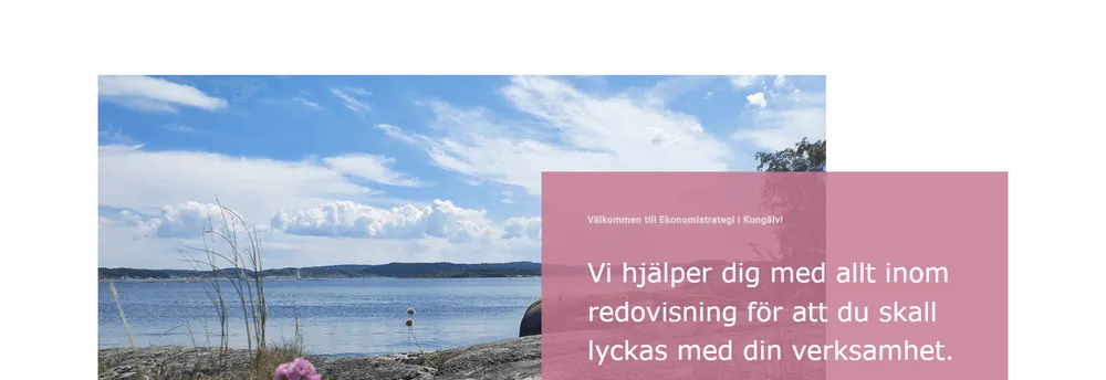 Ekonomistrategi AB cover
