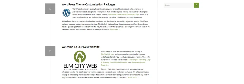 Elm City Web cover