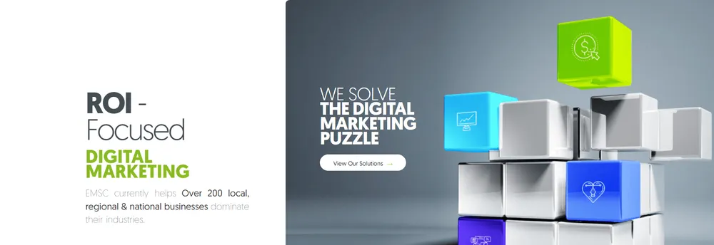 EM Search Consulting cover