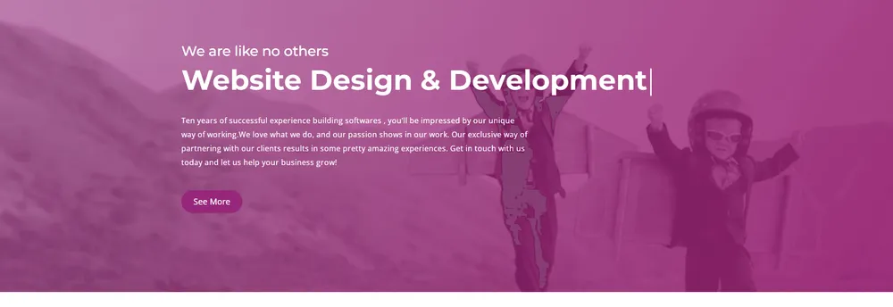 Entities Software & Technology cover