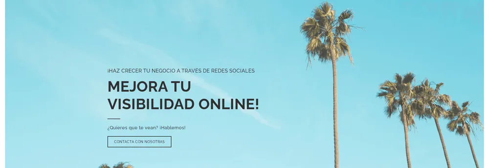 Estudio Palm cover