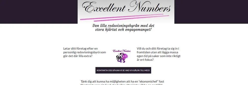 Excellent Numbers cover