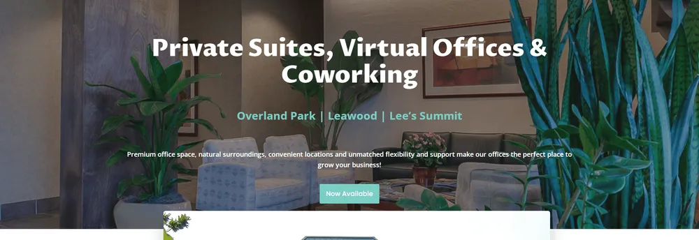 Executive Suites & Services cover