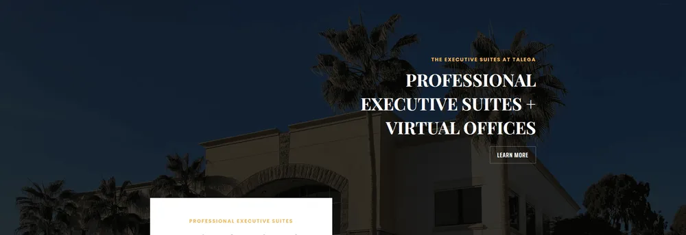 Executive Suites at Talega cover
