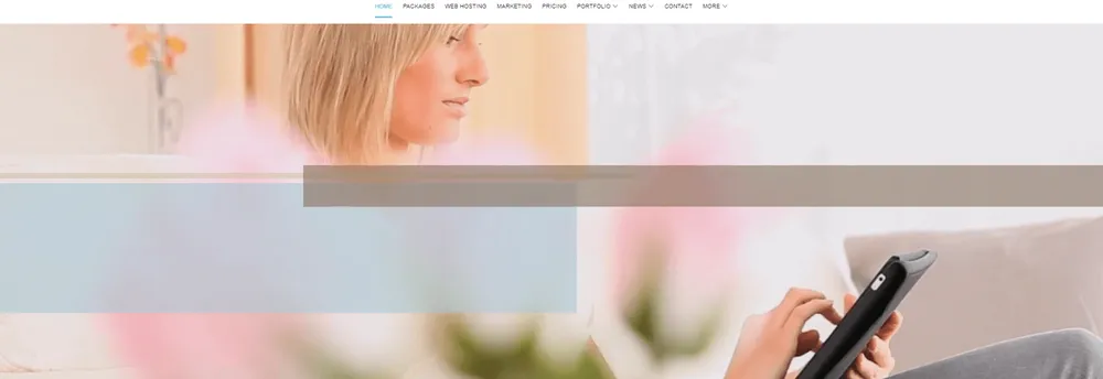 Fast Cheap Websites cover
