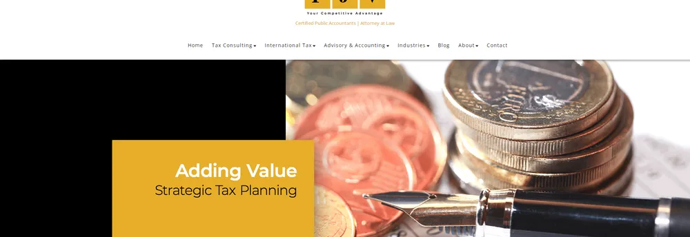 FJV Tax Consulting cover