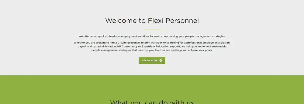 Flexi Personnel Ltd cover
