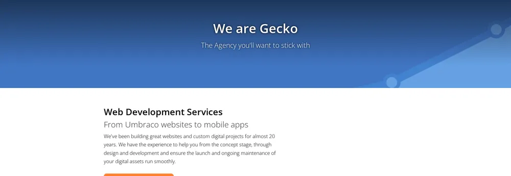 Gecko Agency Ltd cover