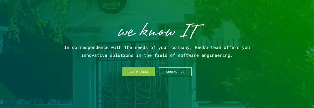 Gecko Solutions cover